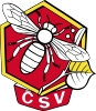 csv